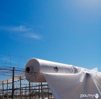 Màng Nhà Kính: Giải Pháp Nông Nghiệp Công Nghệ Cao, Hiệu Quả Kinh Tế Vượt Trội