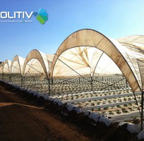 1 Màng Nhà Kính: Giải Pháp Nông Nghiệp Công Nghệ Cao, Hiệu Quả Kinh Tế Vượt Trội