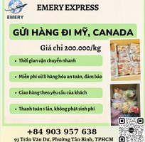 Gửi hàng đi USA, Canada - Tiến Việt Express