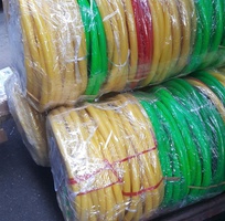 7 Vòng nhựa tập thể dục theo sách Kết Nối Trí thức 2024, học sinh, cấp 1, lớp 4, ship cod