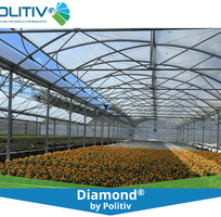 Màng nhà kính chính hãng - lựa chọn hoàn hảo cho mọi vùng khí hậu