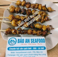 Cần bán sá sùng vip ngon tuyển chọn