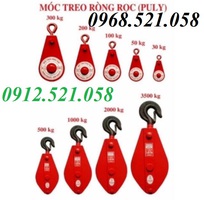 9 Móc treo ròng dọc sắt đỏ 30kg, 50kg,100kg,200,300kg 0912521058 Sơn Mr có puly sắt 1,2,3,5,10 tấn