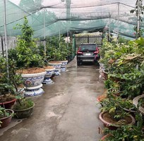 14 Chậu hoa đắp sành sứ, cẩn miểng thủ công mỹ nghệ