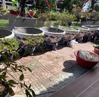 18 Chậu hoa đắp sành sứ, cẩn miểng thủ công mỹ nghệ