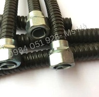 1 Ống ruột gà lõi thép/ đầu nối