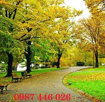 6 Tranh gạch phong cảnh, tranh ốp tường đẹp phòng khách HP09