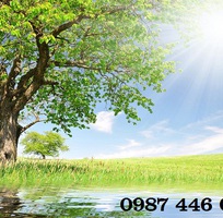 5 Tranh gạch phong cảnh, tranh ốp tường đẹp phòng khách HP09