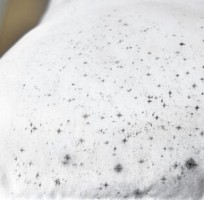 1 Cách xử lí vết mốc ố quần áo trong ngày mưa bão 1 Cách xử lí vết mốc ố quần áo trong ngày mưa bão