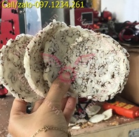 3 Máy làm bánh gạo tươi Turbo TBG152 giá rẻ 3 Máy làm bánh gạo tươi Turbo TBG152 giá rẻ