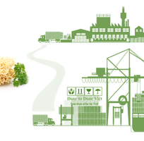 Thủ tục nhập khẩu mì ăn liền Thủ tục nhập khẩu mì ăn liền