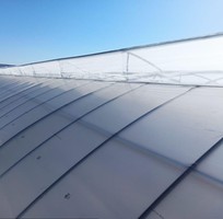    ĐỘT PHÁ Năng Suất Cùng Màng Nhà Kính Công Nghệ Cao của Israel     