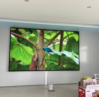 Module LED P3 GKGD   Màn hình LED indoor hiển thị sắc nét, giá sỉ cực tốt, chính hãng Module LED P3 GKGD   Màn hình LED indoor hiển thị sắc nét, giá sỉ cực tốt, chính hãng