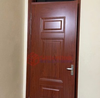2 Cửa thép vân gỗ 1 cánh