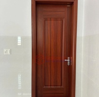 3 Cửa thép vân gỗ 1 cánh