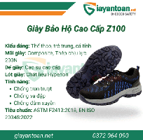 1 Giày bảo hộ lao động cao cấp Z100 bảo vệ an toàn cho mọi công nhân