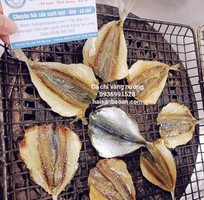 Cần bán cá chỉ vàng khô vip ngon tuyển chọn