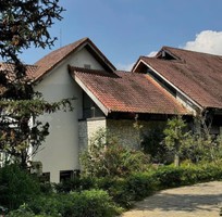 1 Combo resort Sapa Jade hill và xe giường nằm siêu rẻ