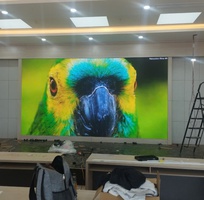 3 Màn hình LED P2   FULL IN GKGD   Hiển thị cực mịn   Bền hơn 100.000h