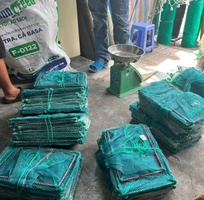 5 12 cửa ngục giá rẻ giao trong tphcm