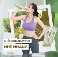 4 G.ORGANIC - Tiên Phong Thực Phẩm Hữu Cơ Chân Thật