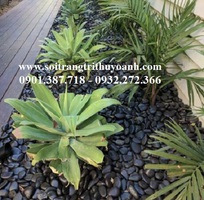 7 Sỏi đen bóng nhập khẩu cấp cho công trình tại Miền Trung