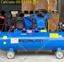 Máy nén khí có dầu Pegalion 120L TM-W-0.36/8 giá rẻ