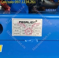 2 Máy nén khí có dầu Pegalion 120L TM-W-0.36/8 giá rẻ