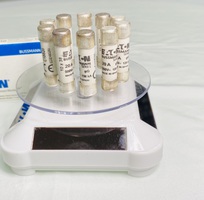 Cầu chì bussmann C10G20