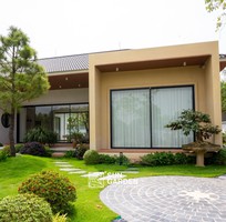 Sân vườn nhỏ đẹp   Góc xanh thư giãn cho ngôi nhà phố