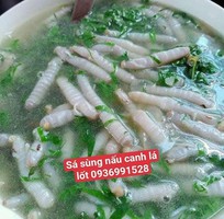 NƠi bán sá sùng tươi ngon tuyển chọn giá tốt