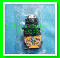 Công tắc nhấn nhả LA38/203-209B