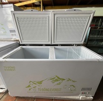 1 Thanh lý tủ đông 1 chế độ hiệu Everest   Hàng mới 100
