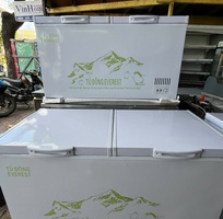 Thanh lý tủ đông 1 chế độ hiệu Everest   Hàng mới 100