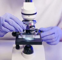 Việt Sinh   Chuyên phân phối kính hiển vi 1 mắt quang học uy tín giá tốt