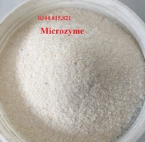 3 Enzyme Microbate, enzyme Microzyme, cắt tảo, xứ lý nước ao nuôi