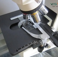 Việt Sinh   địa chỉ uy tín chuyên cung cấp các dòng sp kính hiển vi soi nổi