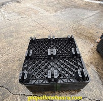  Bán Pallet Nhựa Uy Tín   Chất Lượng Tại  Chợ Lớn 