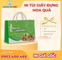 1 Báo giá chi tiết in túi giấy đựng hoa quả
