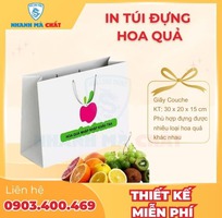 3 Báo giá chi tiết in túi giấy đựng hoa quả
