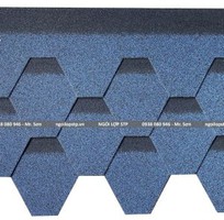 Lợp Ngói Bitum   Bước Tiến Mới Cho Mái Nhà Chống Thấm Và Thẩm Mỹ