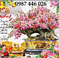 7 Tranh gạch men hoa anh đào HP0283
