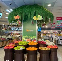 3 Sọt mây nhựa để trái cây hoa quả