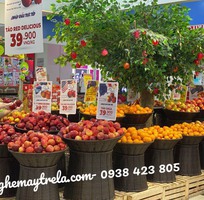 11 Sọt mây nhựa để trái cây hoa quả