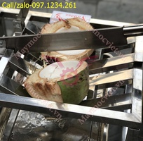 1 Thiết bị bổ và đục lỗ dừa tươi VM304 giá rẻ