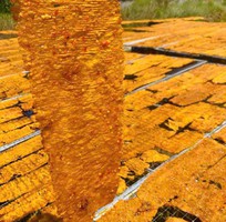 Mực cán tẩm đặc sản Nha Trang