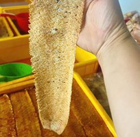 2 Mực cán tẩm đặc sản Nha Trang