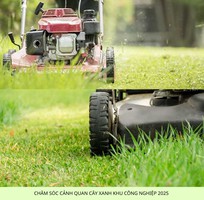 2 Bảo dưỡng cảnh quan KCN Biên Hòa Đồng Nai, Uy tín 2025