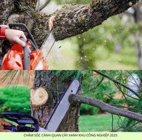 3 Bảo dưỡng cảnh quan KCN Biên Hòa Đồng Nai, Uy tín 2025