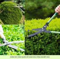 4 Bảo dưỡng cảnh quan KCN Biên Hòa Đồng Nai, Uy tín 2025